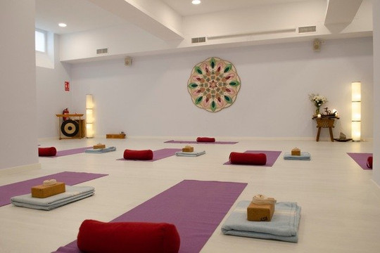 Imagen 1 de la galería del partner Escuela Internacional de Yoga