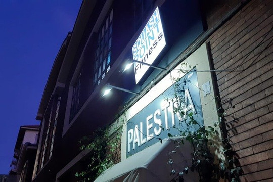 Immagine 3 dalla galleria del partner Palestra Squash Point