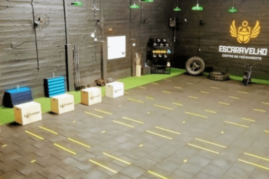 Imagem 3 da galeria do parceiro CT Escaravelho