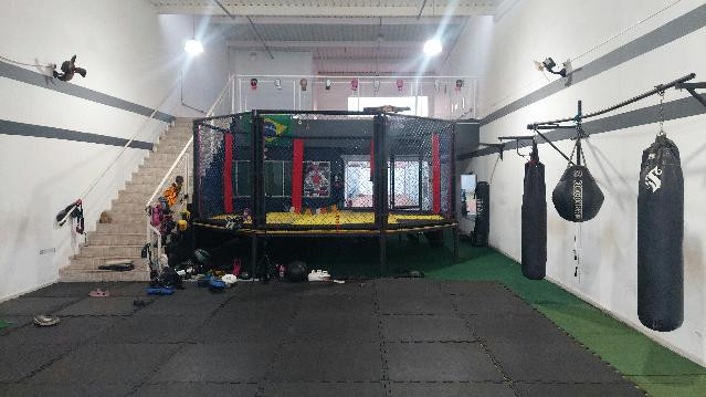 Imagem 1 da galeria do parceiro Alpha.7