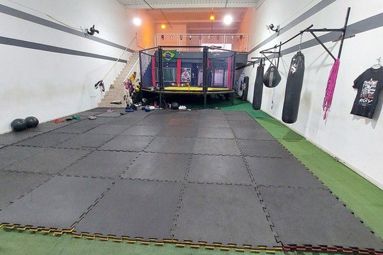 Imagem 3 da galeria do parceiro Alpha.7