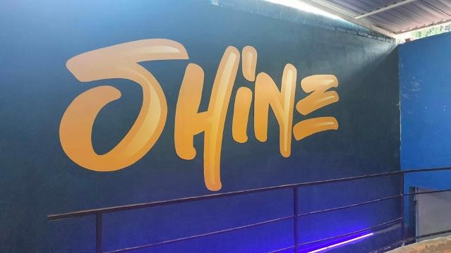 Imagen 1 de la galería del partner Dance&Shine