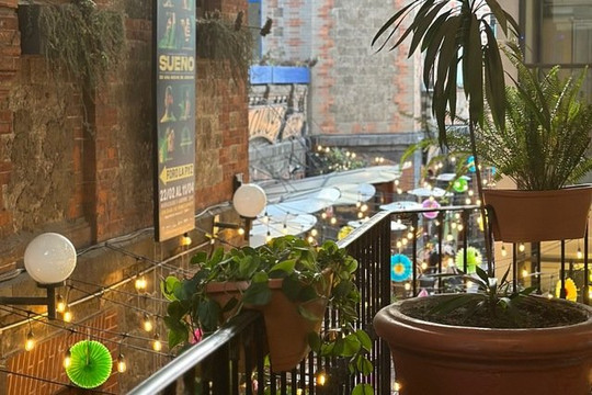 Imagen 2 de la galería del partner Tann Pilates