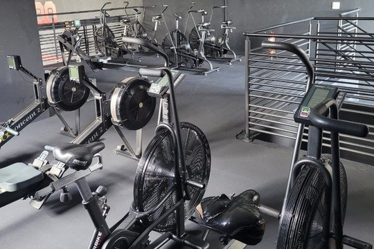 Imagem 2 da galeria do parceiro Basic Conditioning Training