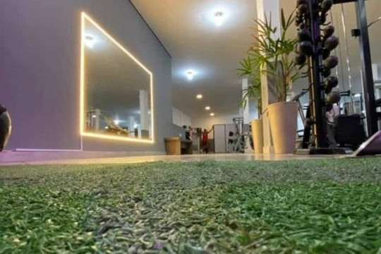 Imagem 1 da galeria do parceiro Body Evolution