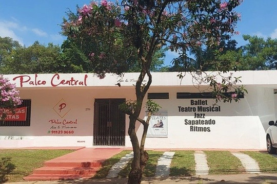 Imagem 2 da galeria do parceiro Palco Central Arte e Movimento