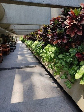 Imagem 2 da galeria do parceiro Pilates Amanda Carvalho