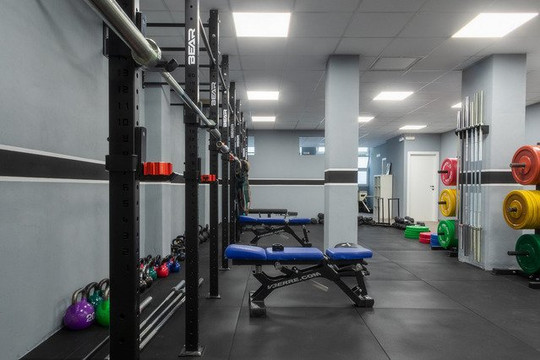 Immagine 2 dalla galleria del partner Daruma Pro