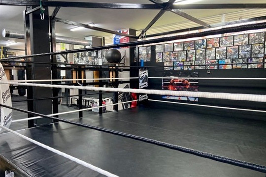 Imagen 3 de la galería del partner ESCUELA DE BOXEO CESAR CEPEDA