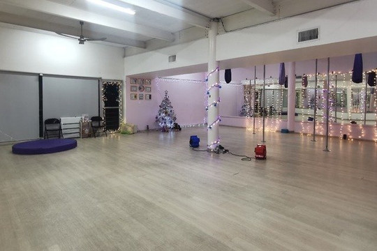 Imagen 3 de la galería del partner Colibrí Pole Fitness Studio