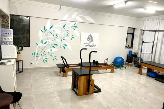 Imagem 1 da galeria do parceiro Verticale Pilates E Treinamento Funcional
