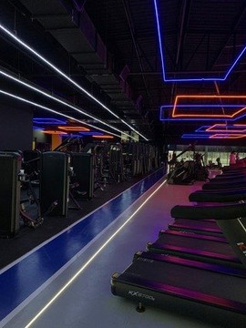 Imagem 3 da galeria do parceiro PhD Sports - 42 Shopping Boulevard