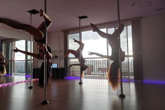 Imagem 1 da galeria do parceiro Studio Soul Pole Dance