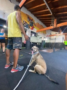 Imagen 3 de la galería del partner Anubis Parana Club