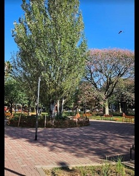 Imagen 3 de la galería del partner GOFitness.ok Parque Centenario