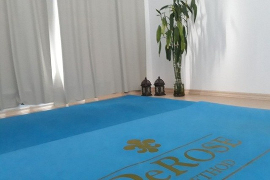 Imagem 3 da galeria do parceiro Swásthya Yôga Online