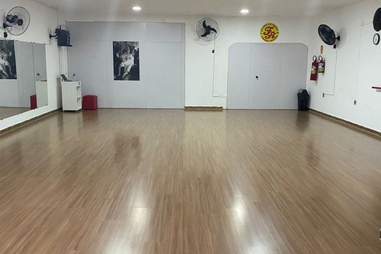 Imagem 1 da galeria do parceiro Studio de Dança Franz Rocha