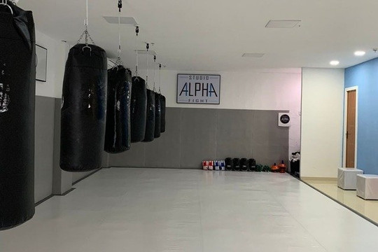 Imagem 1 da galeria do parceiro Studio Alpha Fight