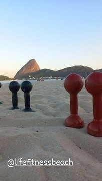 Imagem 2 da galeria do parceiro Life Fitness Treinamento Funcional