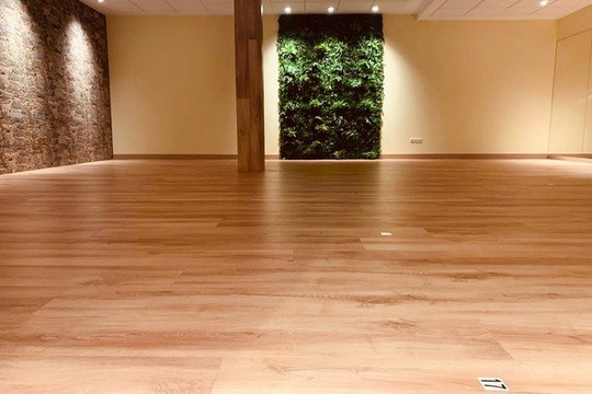 Imagen 1 de la galería del partner Instituto Holistico del Bienestar