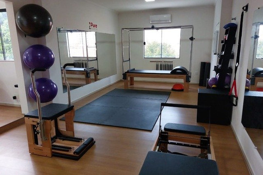 Imagem 3 da galeria do parceiro Pure Pilates - São Carlos - Centro
