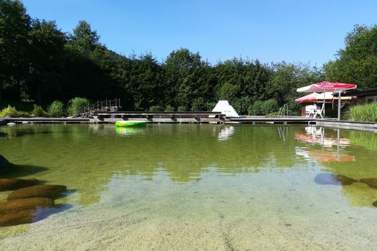 Bild 2 von Naturerlebnisbad Saalhausen Partnergalerie