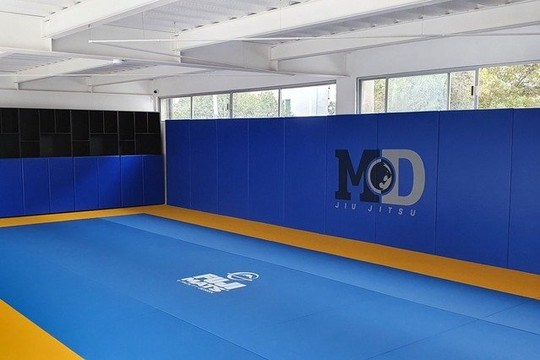 Imagen 3 de la galería del partner MD Self Defense Academy Del Valle