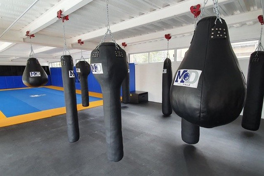 Imagen 1 de la galería del partner MD Self Defense Academy Del Valle