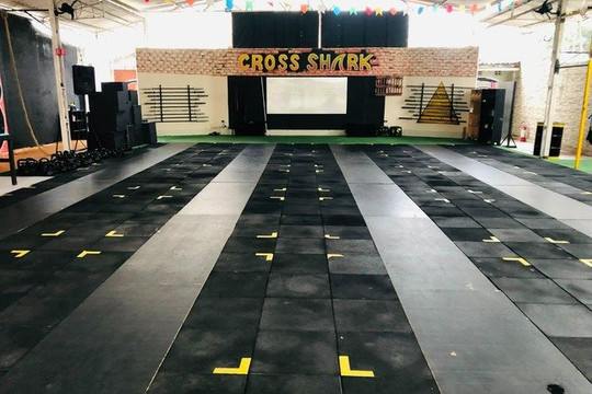 Imagem 1 da galeria do parceiro CT Fight Shark Team