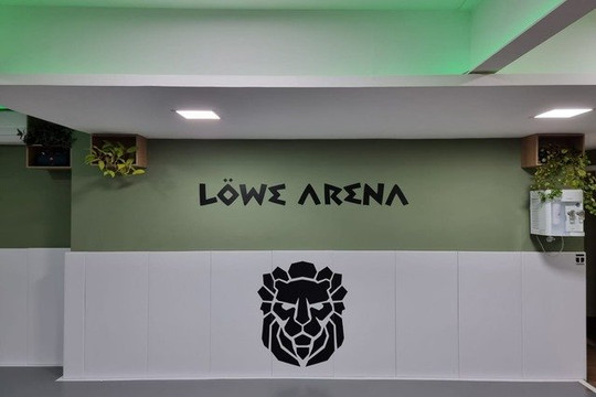 Imagem 2 da galeria do parceiro Löwe Arena
