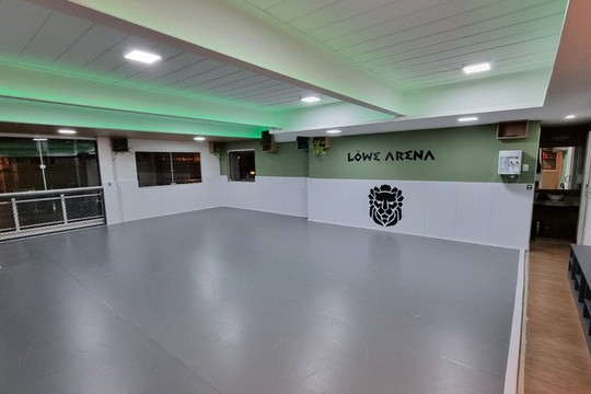 Imagem 3 da galeria do parceiro Löwe Arena