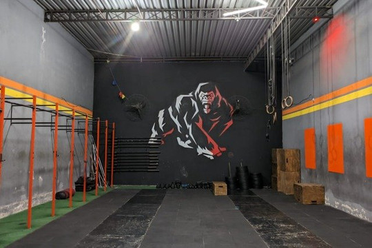 Imagem 3 da galeria do parceiro Gorilla's CT