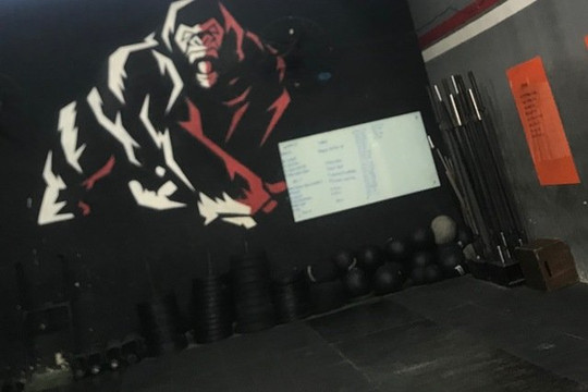 Imagem 2 da galeria do parceiro Gorilla's CT