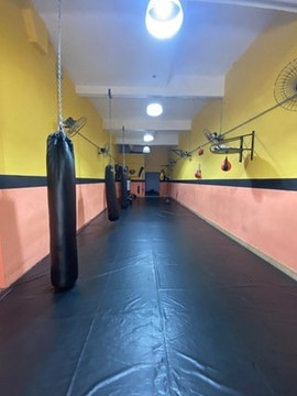 Imagem 1 da galeria do parceiro Guarda Alta Performance