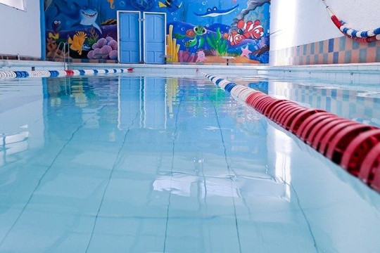 Imagen 1 de la galería del partner Pixan Kay Acuática