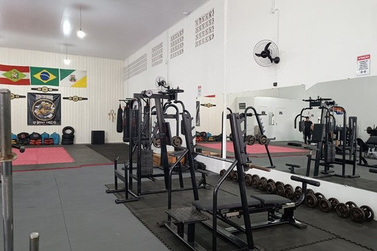 Imagem 3 da galeria do parceiro Iron Man Academia