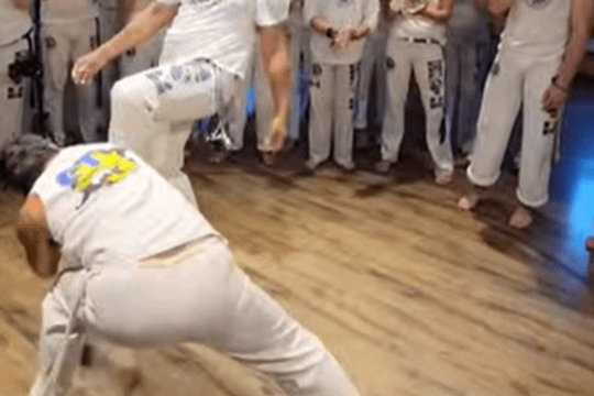 Image 3 from CT Capoeira partner gallery