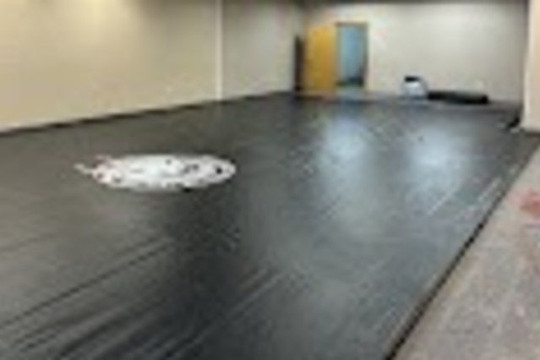 Image 2 from Sindalu BJJ partner gallery