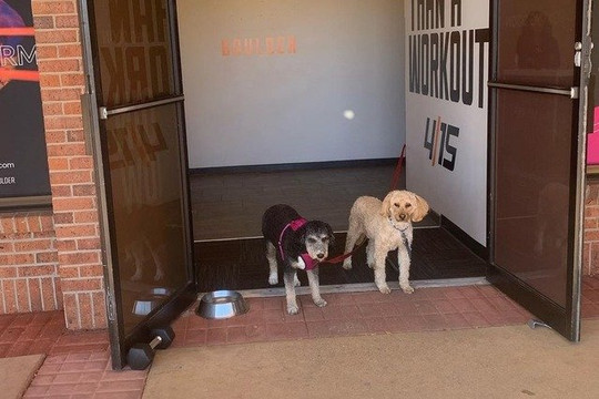 Image 2 from Stellar Fitness partner gallery