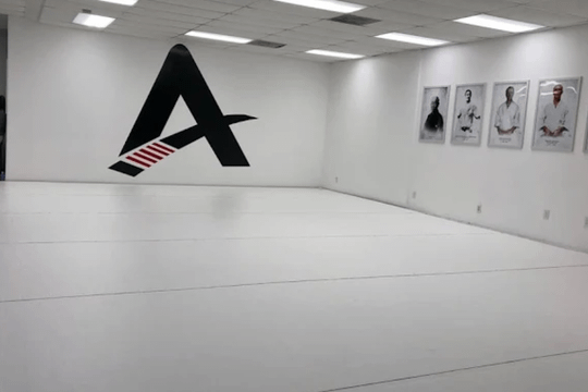 Image 2 from Silva Academy Brazilian Jiu-Jitsu partner gallery