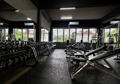 Imaginea 1 din Invictus Strenght Society galeria partenerului