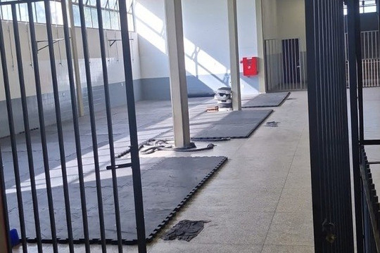 Imagem 1 da galeria do parceiro Pró-Esporte