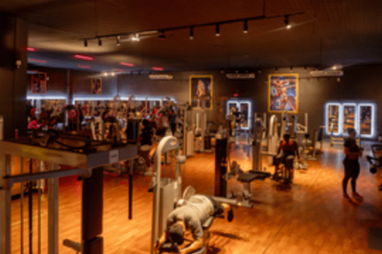 Imagem 1 da galeria do parceiro Iron Fitness