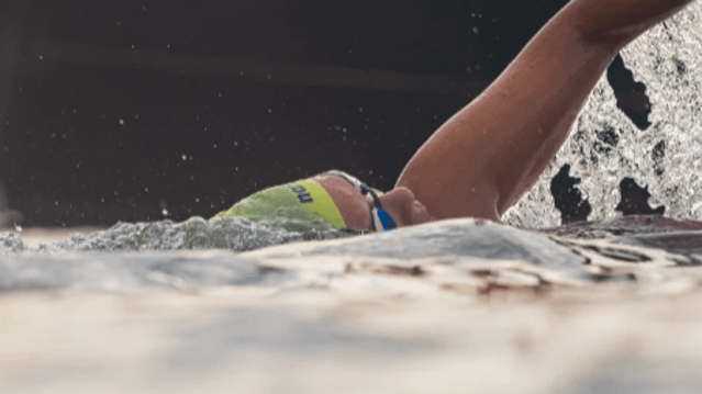 Imagem 3 da galeria do parceiro Escola Nativa