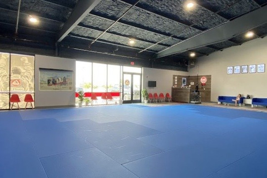 Image 1 from Gracie Barra Buda partner gallery