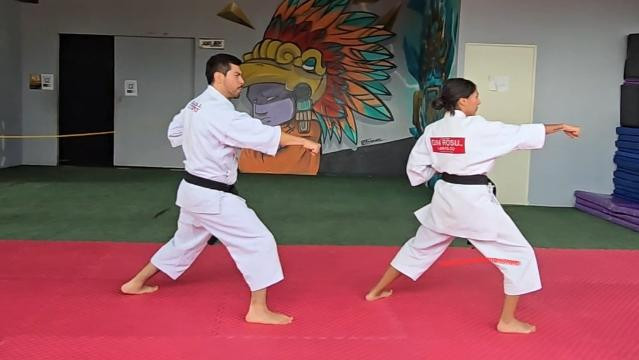 Imagen 1 de la galería del partner Kyōdai Héroes Zona Centro Karate-Do