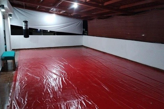 Imagen 1 de la galería del partner Mushin Dojo Bernalejo