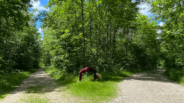 Bild 3 von Yoga bei Vroni Partnergalerie