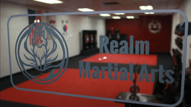 Image 2 from Realm Martial Arts partner gallery