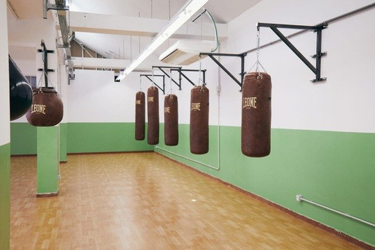 Immagine 1 dalla galleria del partner Underdog Boxing Family SSD